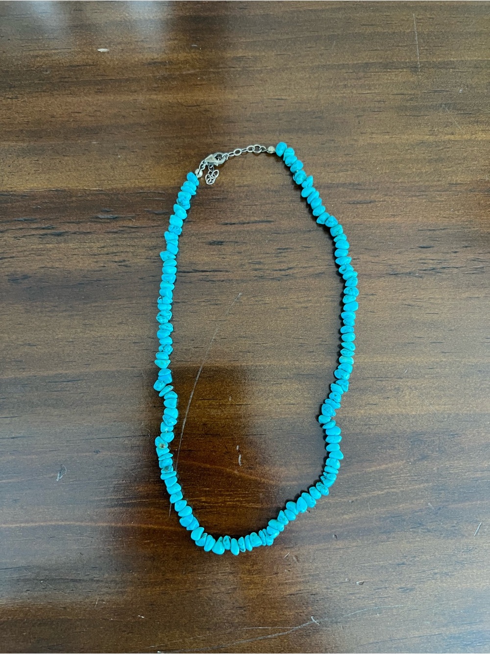 Turquoise Chip Bead Necklace - Women's Jewelry